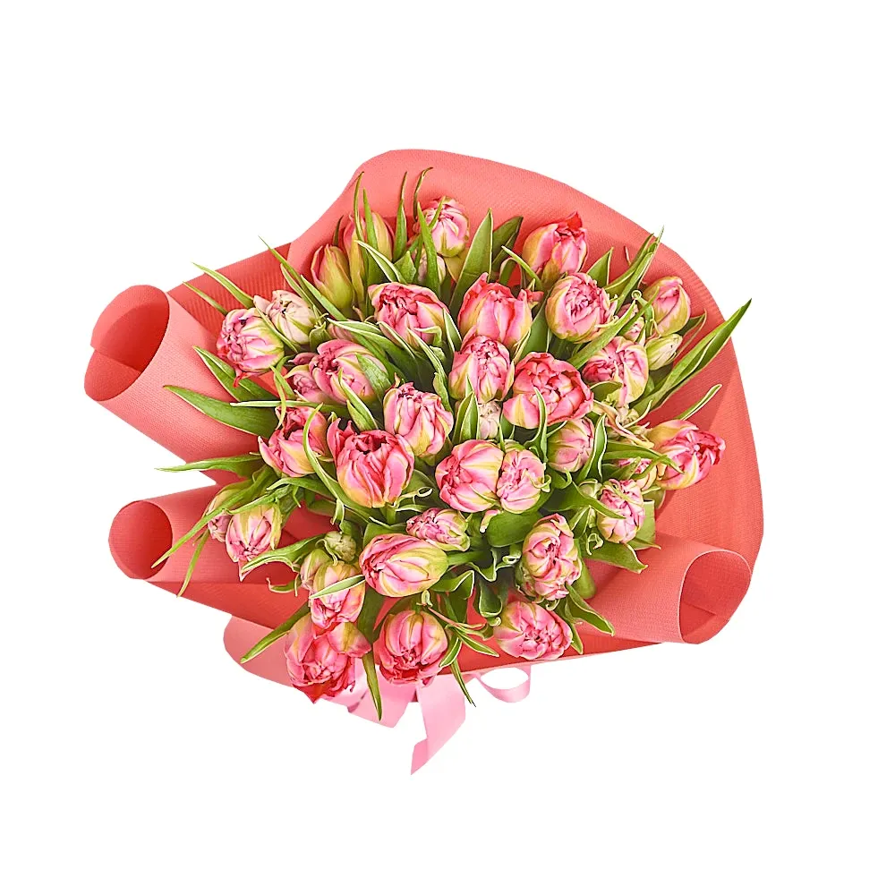 Букет из 35 пионовидных розовых тюльпанов